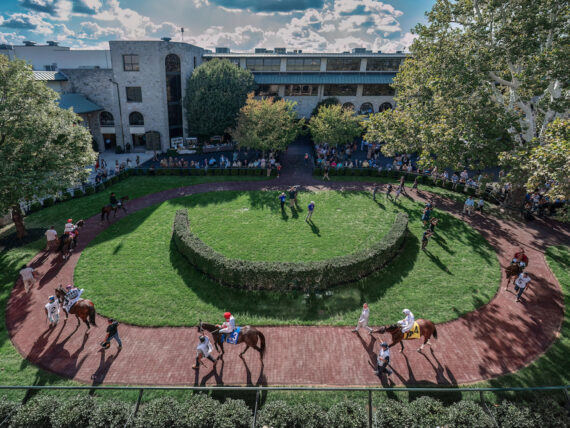 Horses circle in a grassy ring