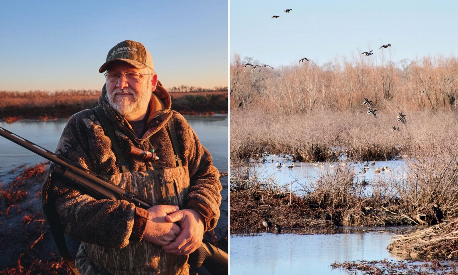 A man holds a sporting gun; ducks over wetlands