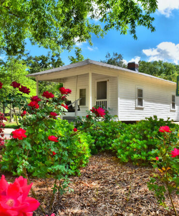 Outside a white home with pink flowers