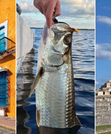 A collage of three images: a bright orange building in Mexico; a hand holds a tarpon; ancient ruins