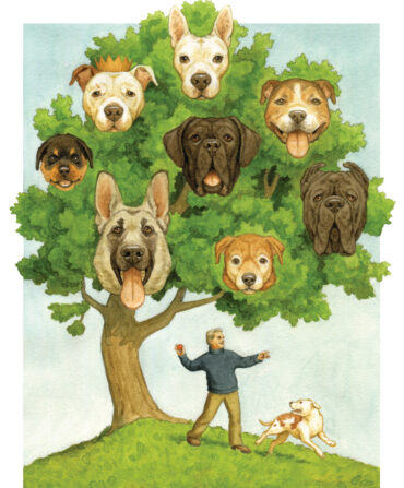 illustration of dogs in a tree