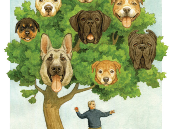 illustration of dogs in a tree