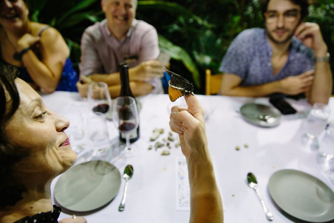 A butterfly lands on a person's finger