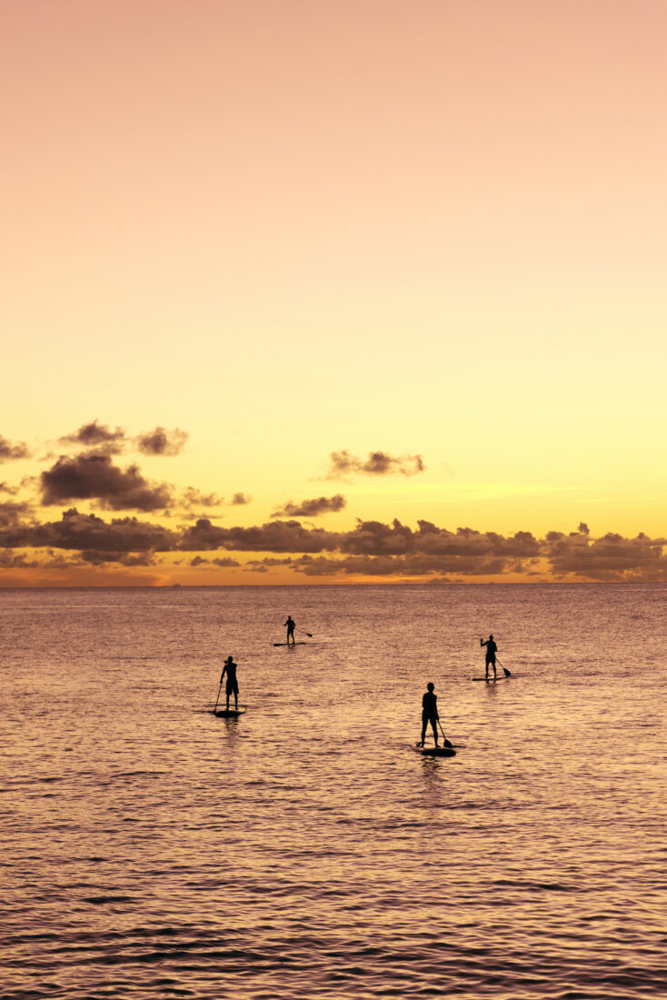 People paddle board into a sunset