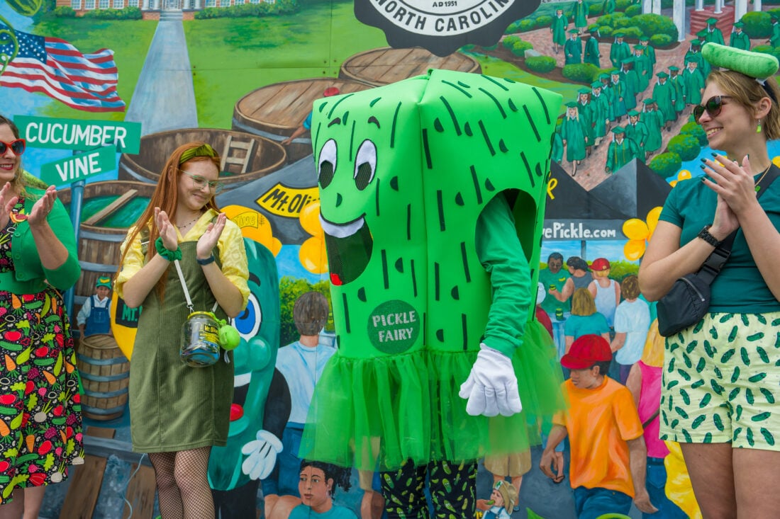 People in pickle costumes and outfits