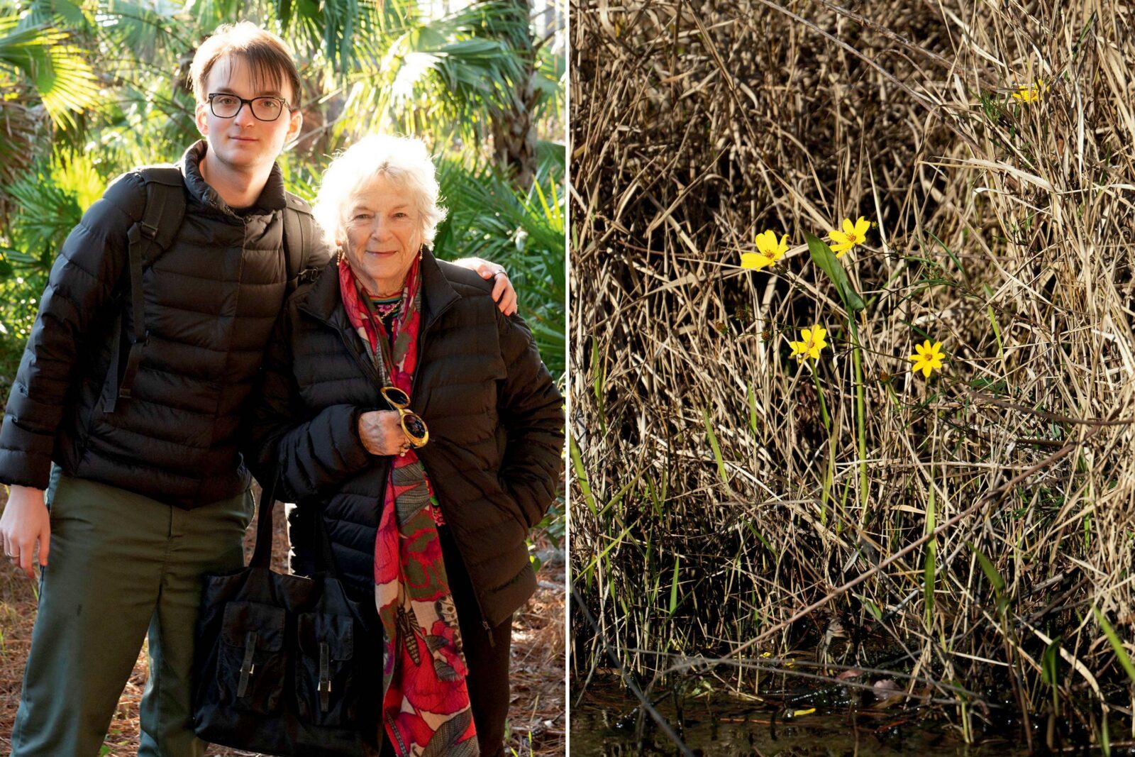 A boy and woman in a forest; yellow flowers