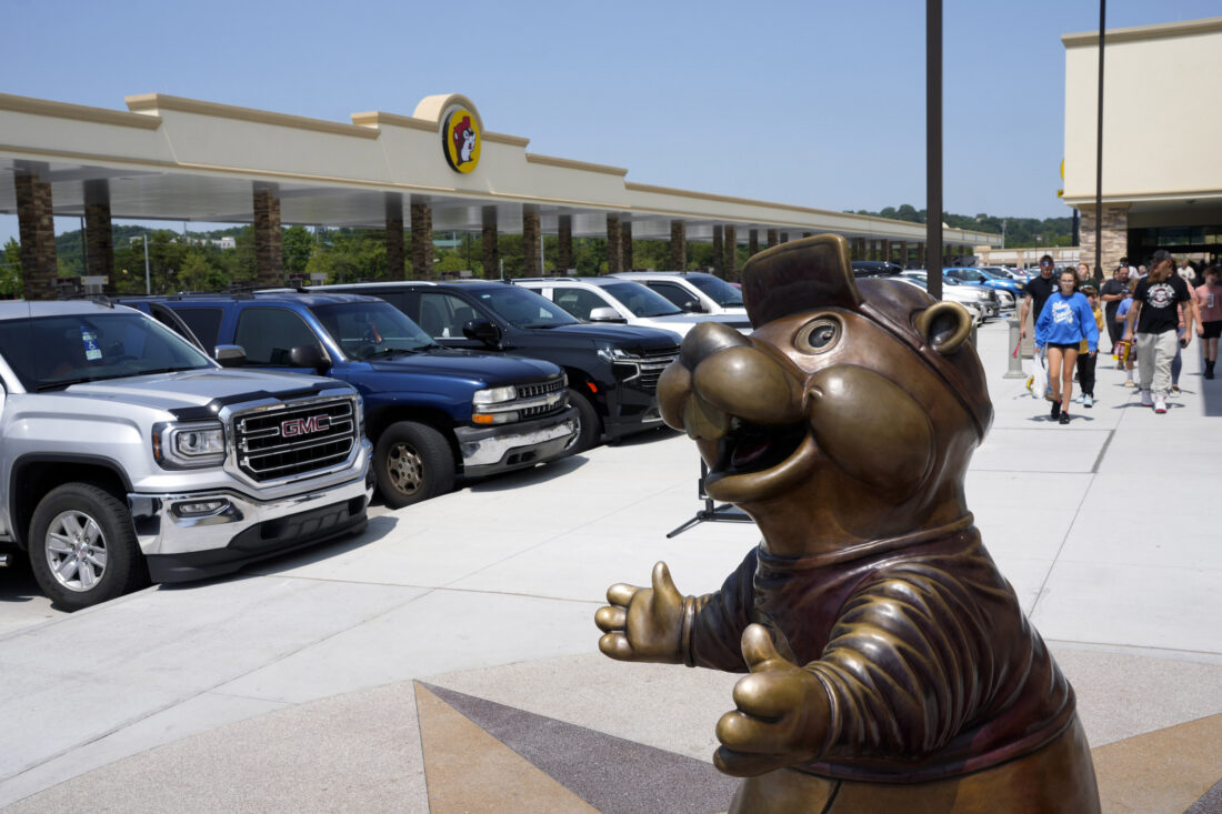 A beaver statue in a parking lot