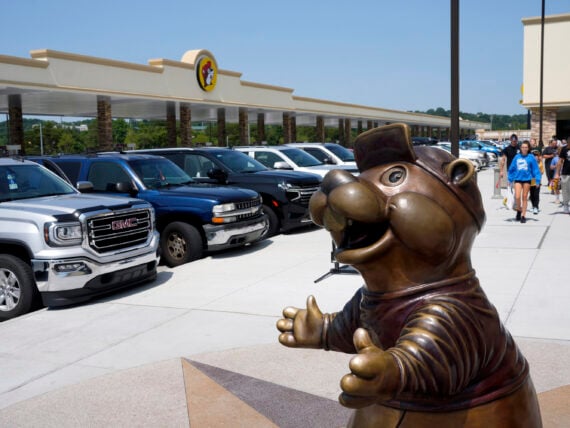A beaver statue in a parking lot