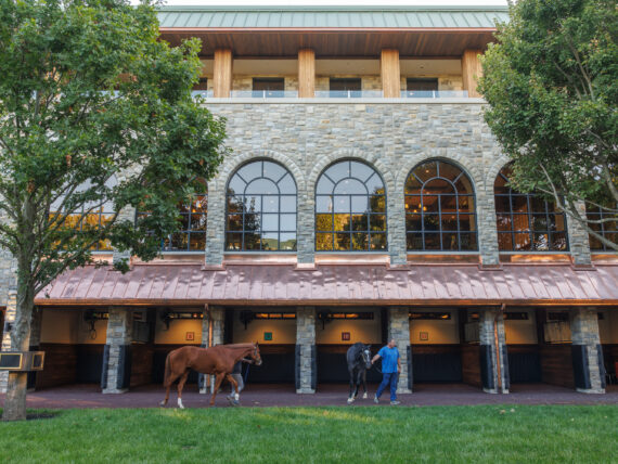 Two horses led by people outside of a paddock building