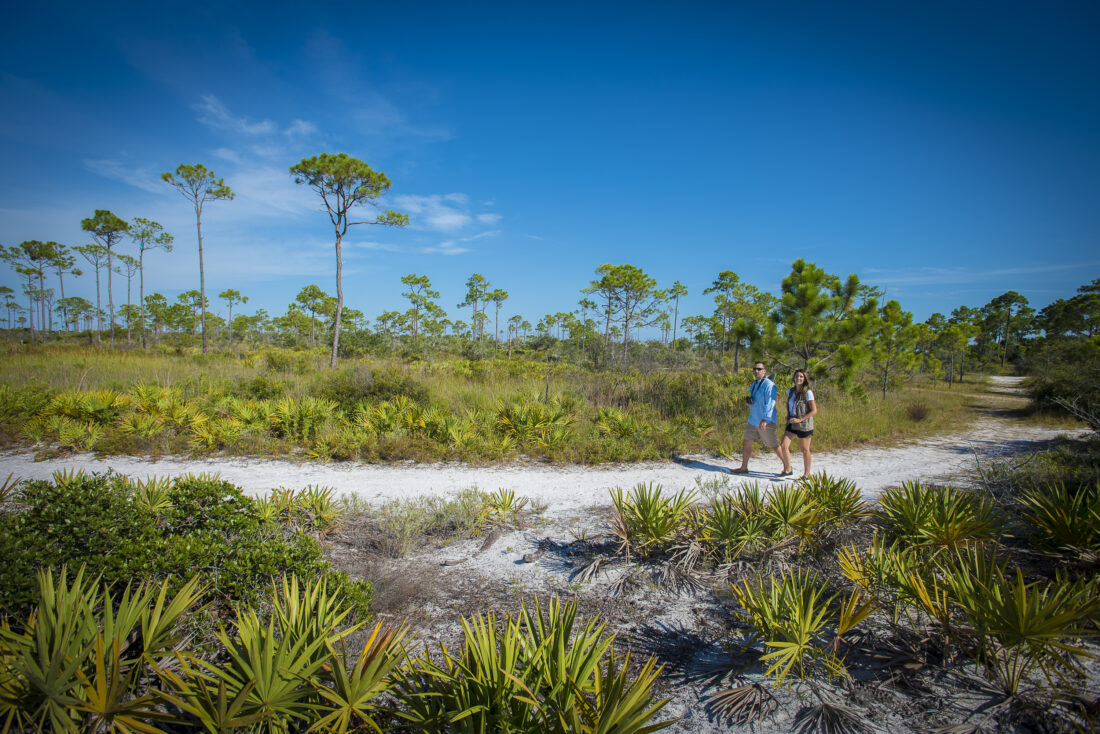People walk on a beachy path