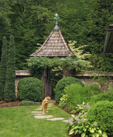 A yellow dog in a garden courtyard