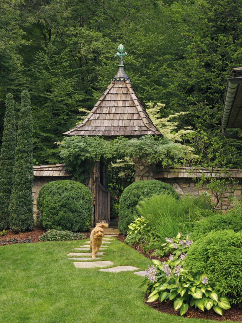 A yellow dog in a garden courtyard
