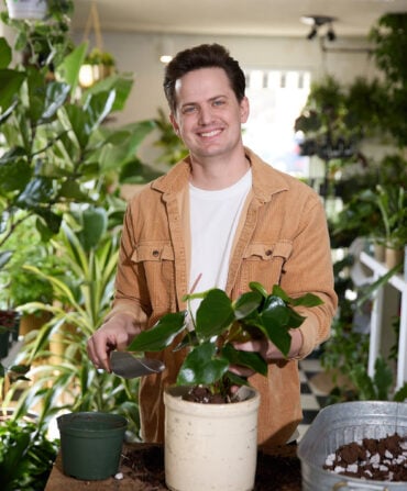 a portrait of a man with plants around him