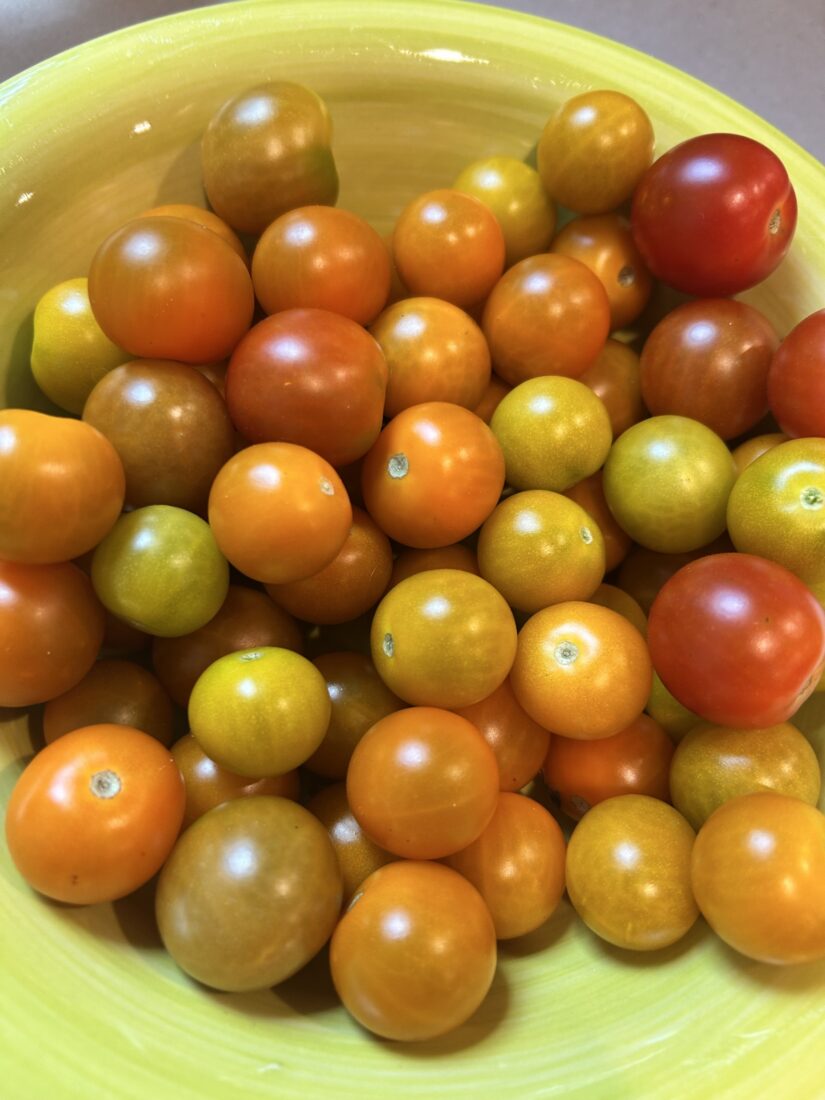 A bowl of tomatoes