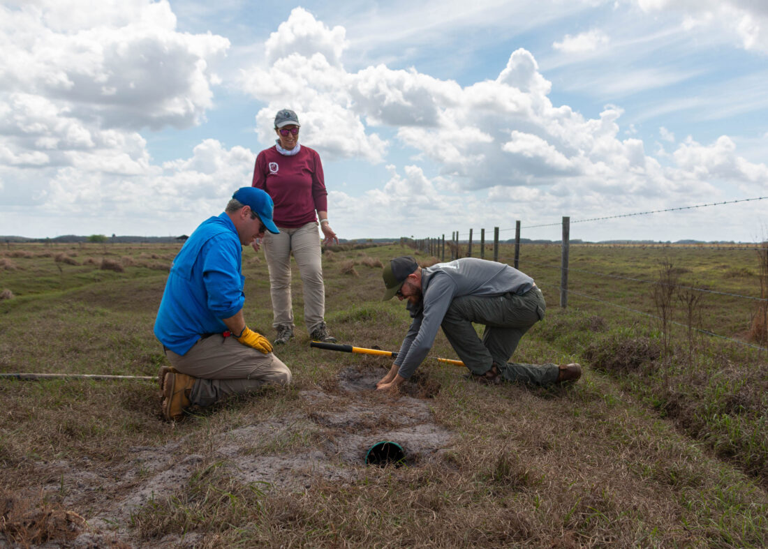 People dig a burrow outside
