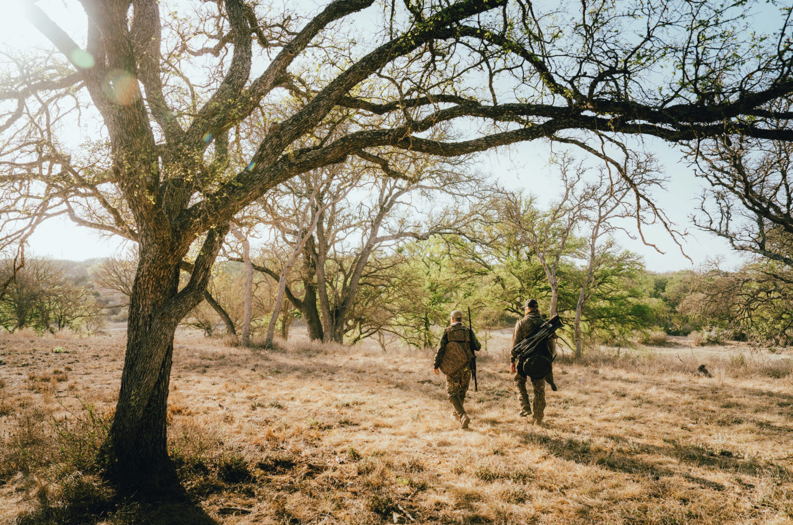 Two men walk in a scrubby landscape
