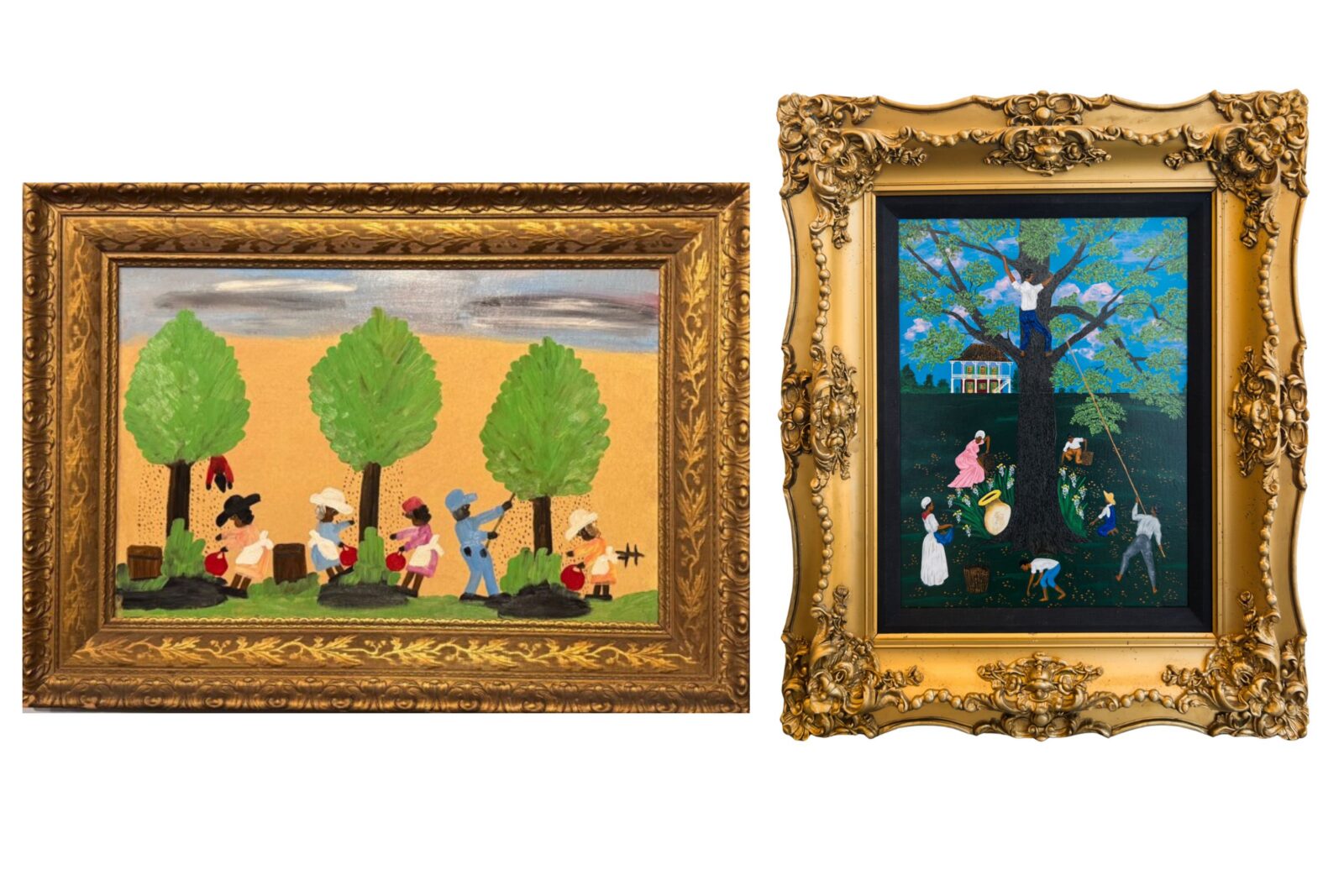 Paintings of pecan harvests