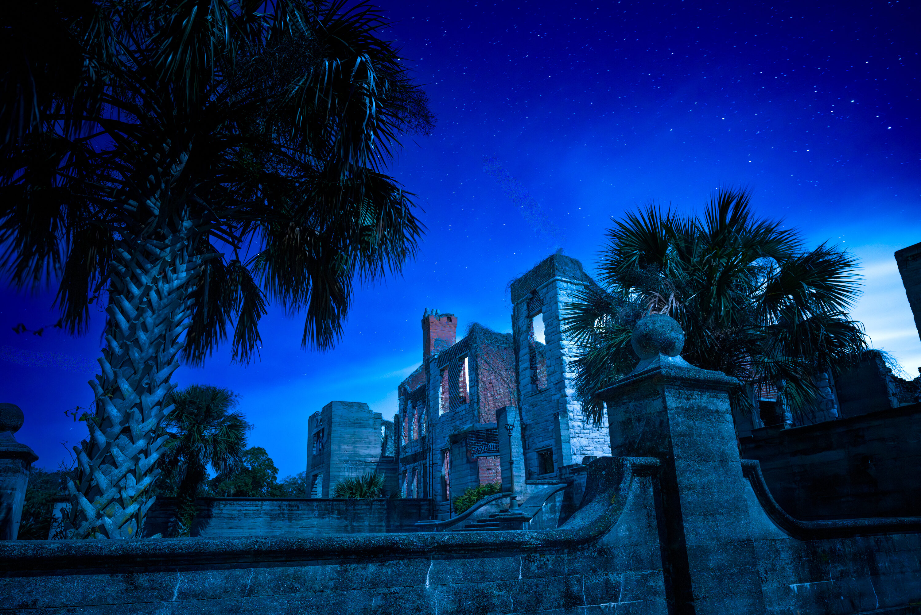 See the Stunning Wild Heart of Cumberland Island  Garden & Gun