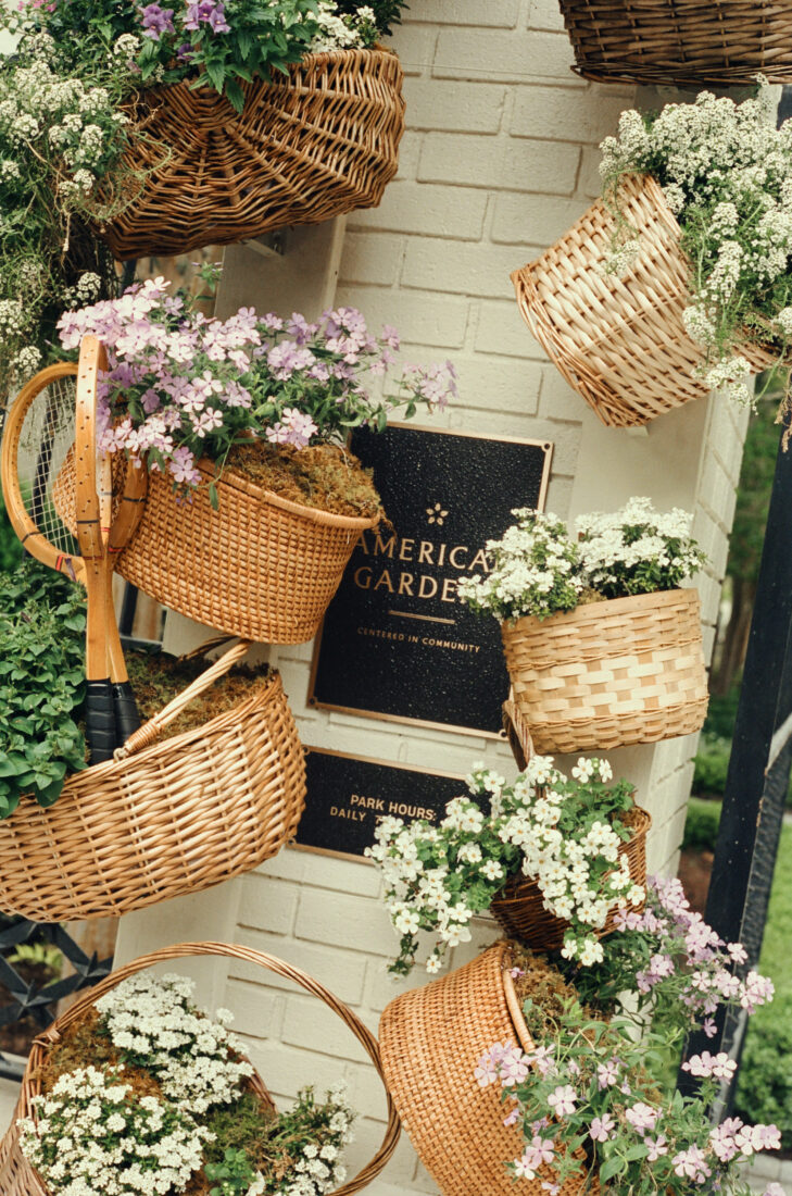 Flowers in a basket