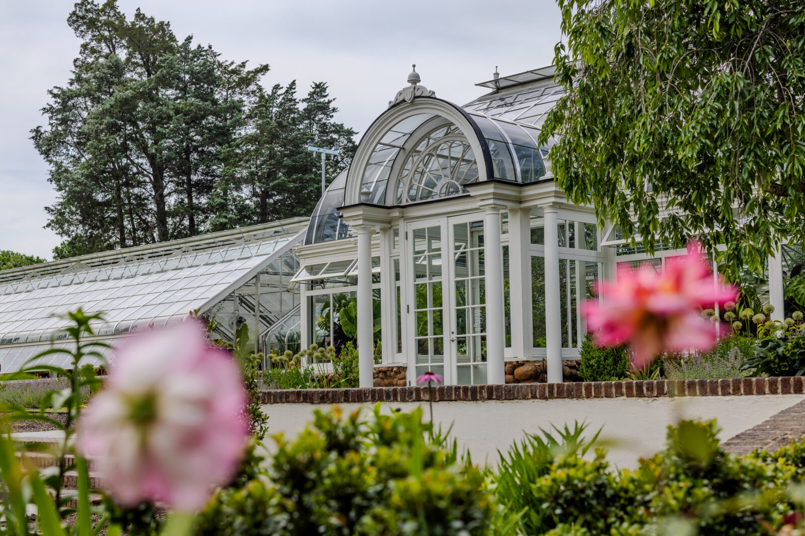 A greenhouse