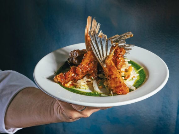 Tempura fish wings, with a Korean glaze and crispy noodle salad on a plate