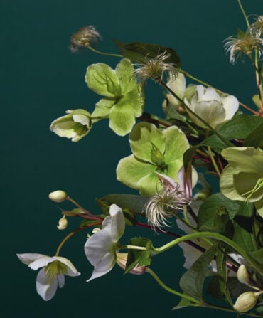 Florals against a dark blue background