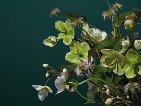 Florals against a dark blue background