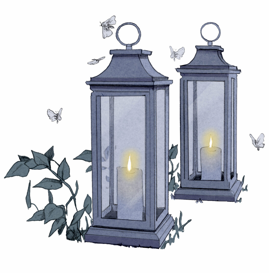 An illustration of a lantern with moths