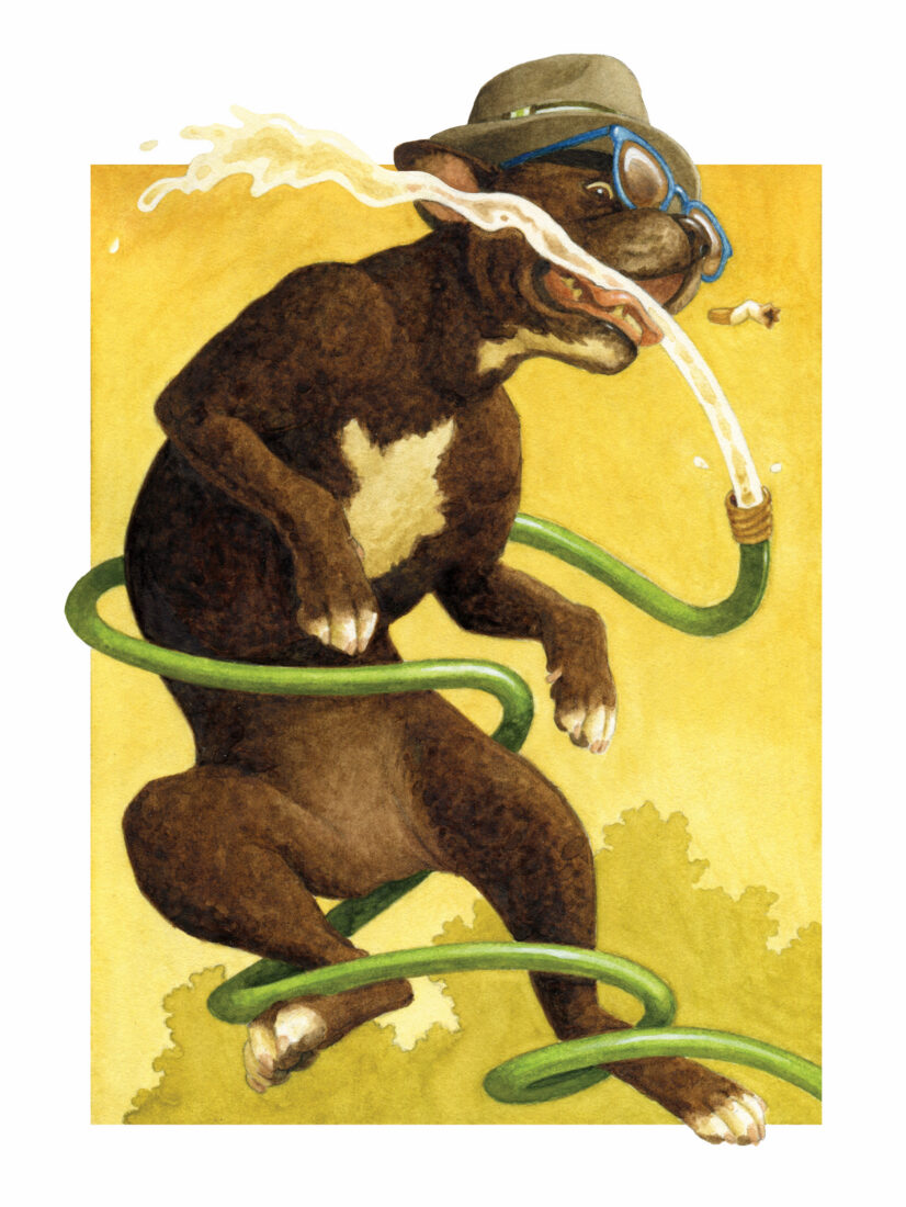 An illustration of a dog with a hat playing with a hose