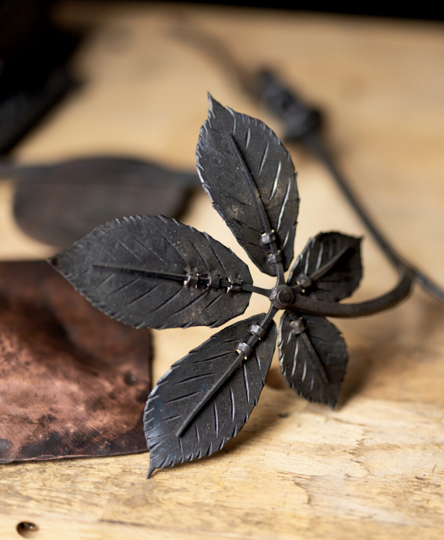 A metal a ginseng plant 