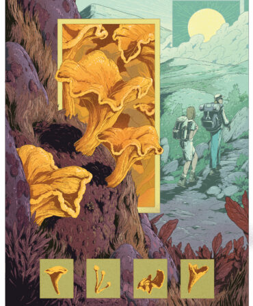 An illustration of hikers and chanterelle mushrooms