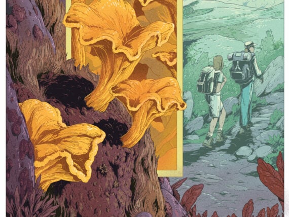 An illustration of hikers and chanterelle mushrooms
