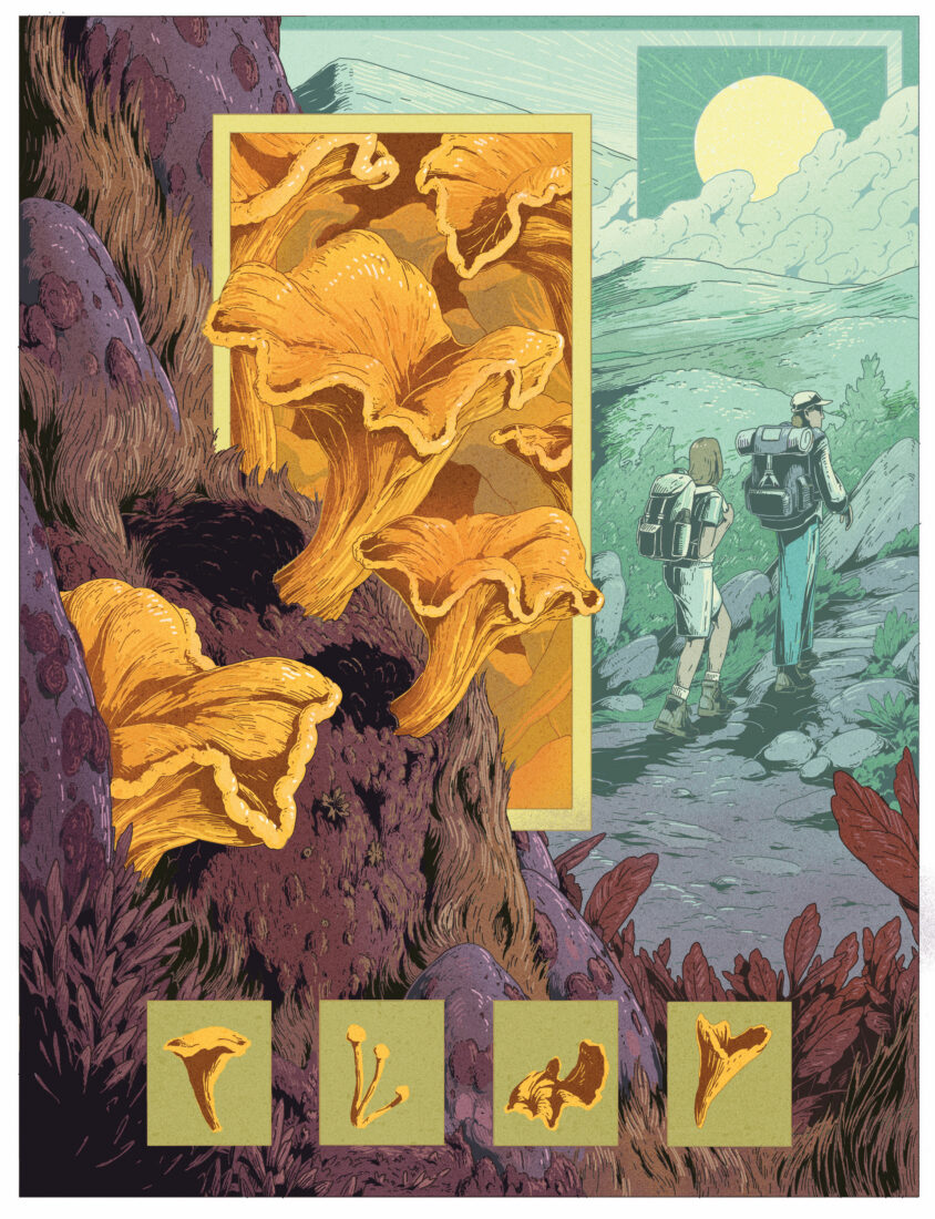 An illustration of hikers and chanterelle mushrooms