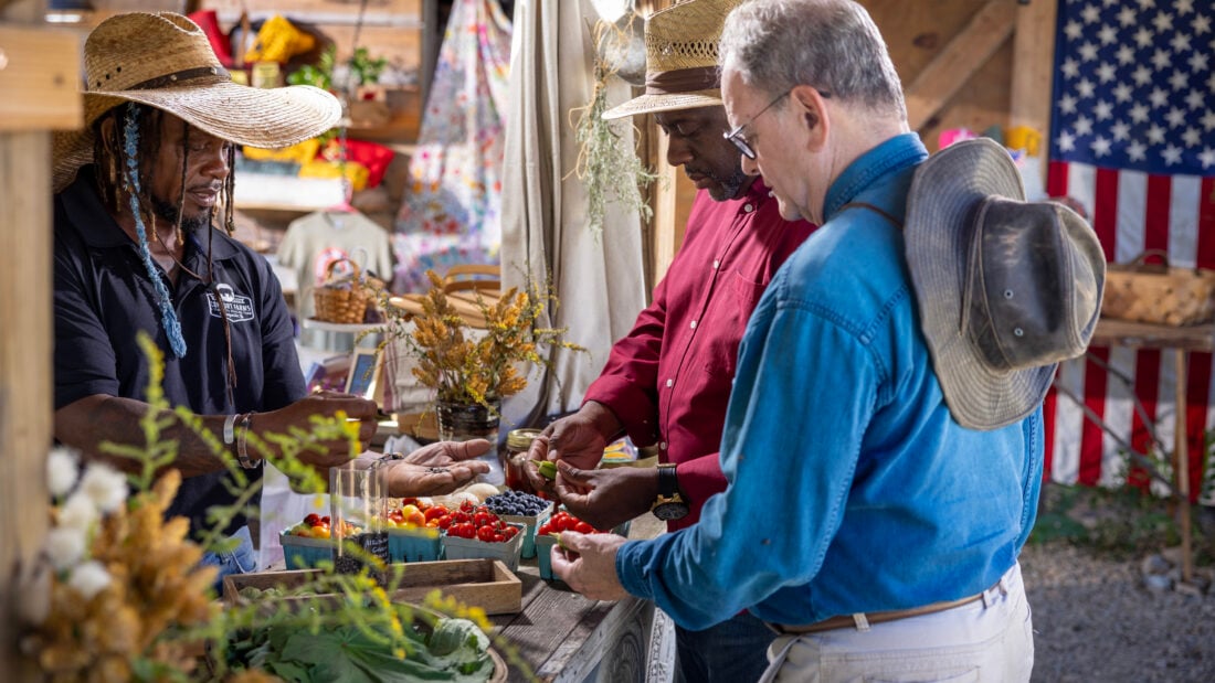 Two men at a farmers market