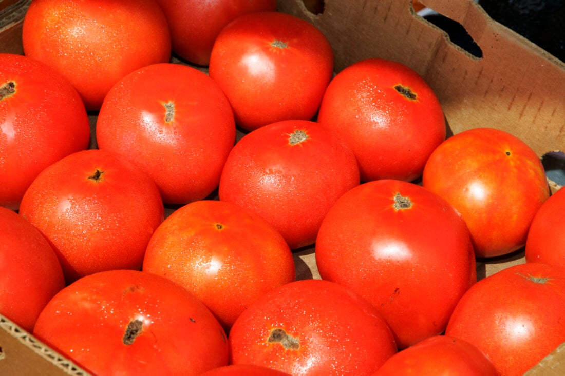 Red tomatoes in a box