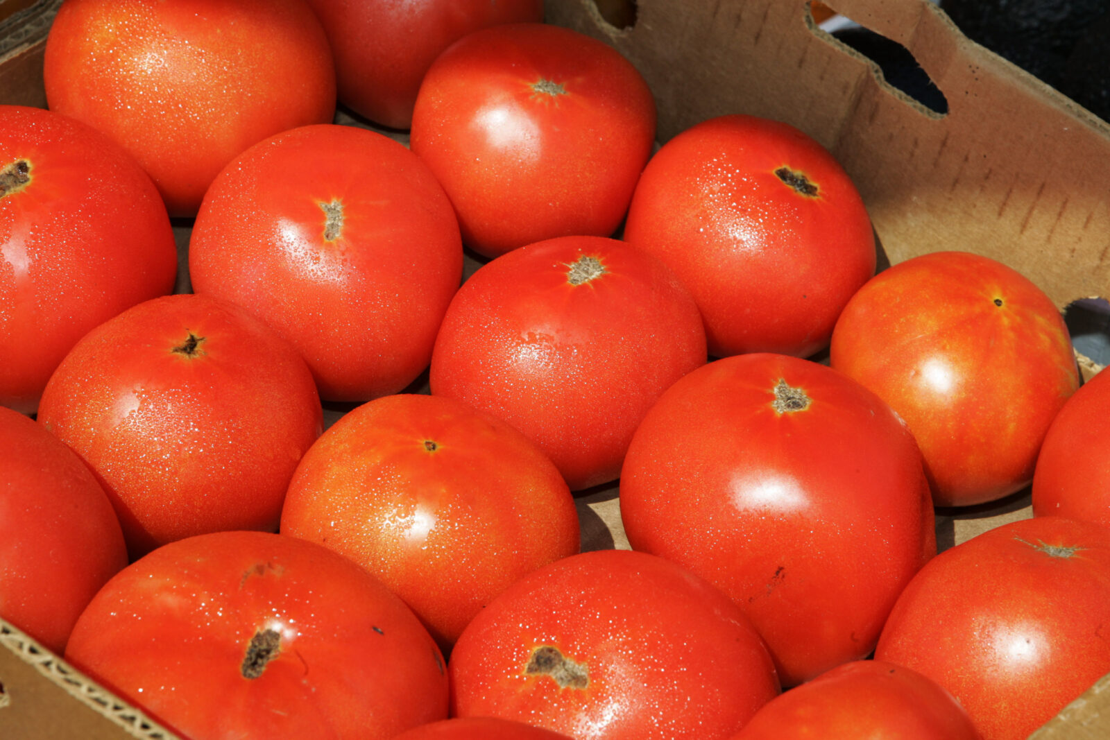 Red tomatoes in a box