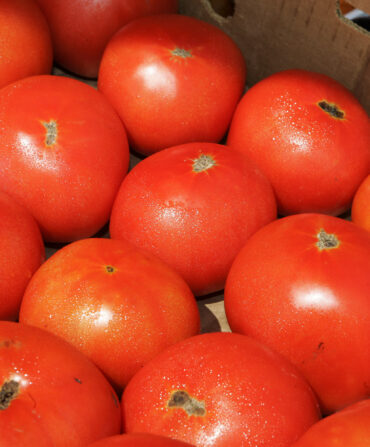 Red tomatoes in a box