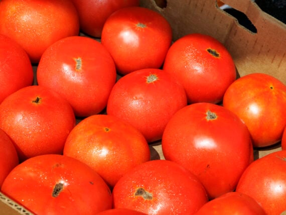 Red tomatoes in a box