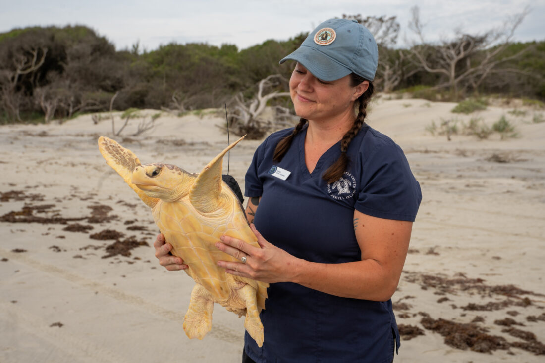 A person holds a sea turtle