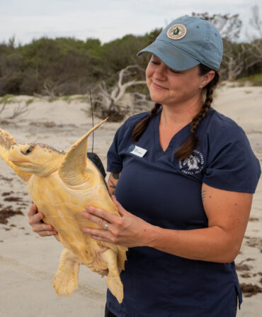 A person holds a sea turtle