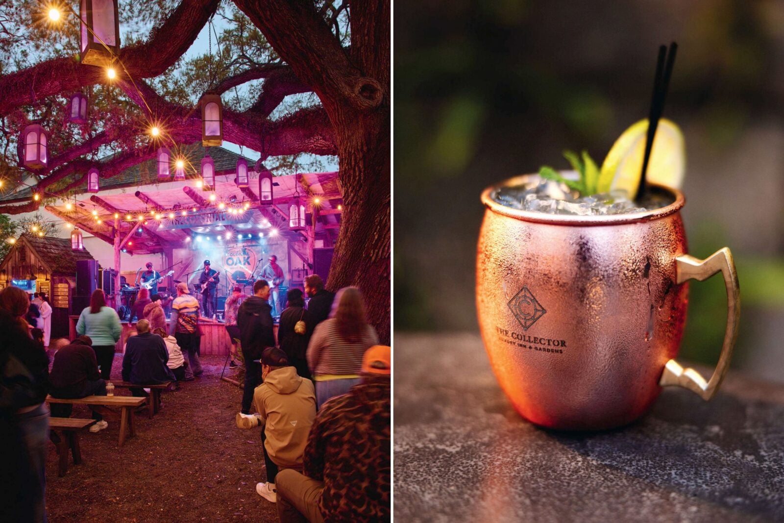 A live show under a tree; a moscow mule