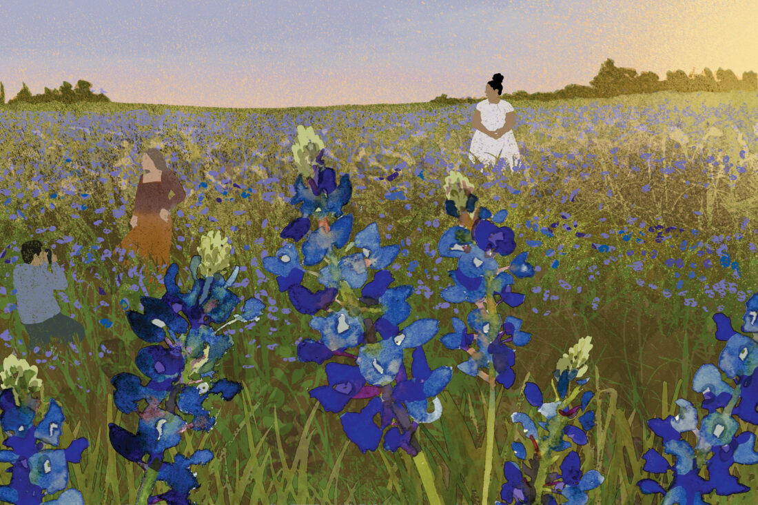 An illustration of a woman in a bluebonnet field