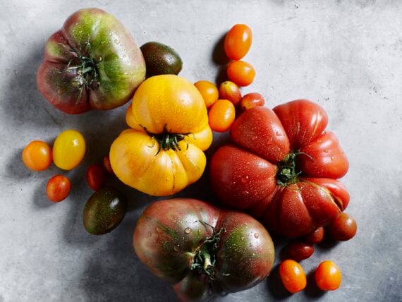 tomatoes
