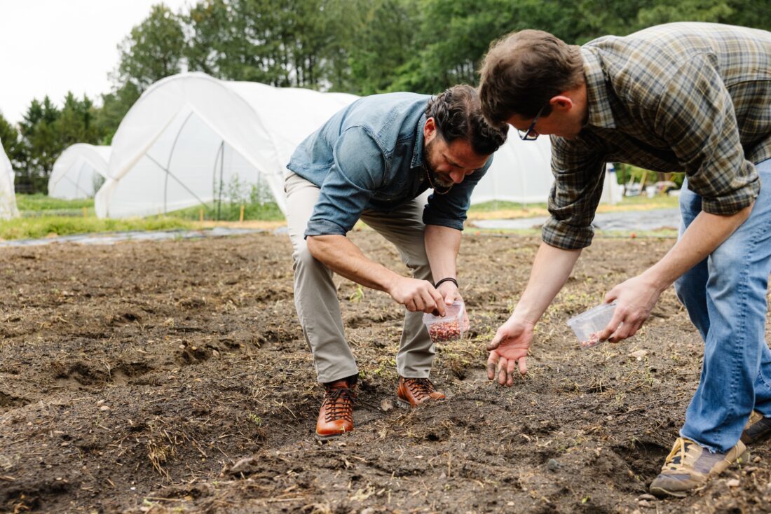image of two men planting rows of seeds