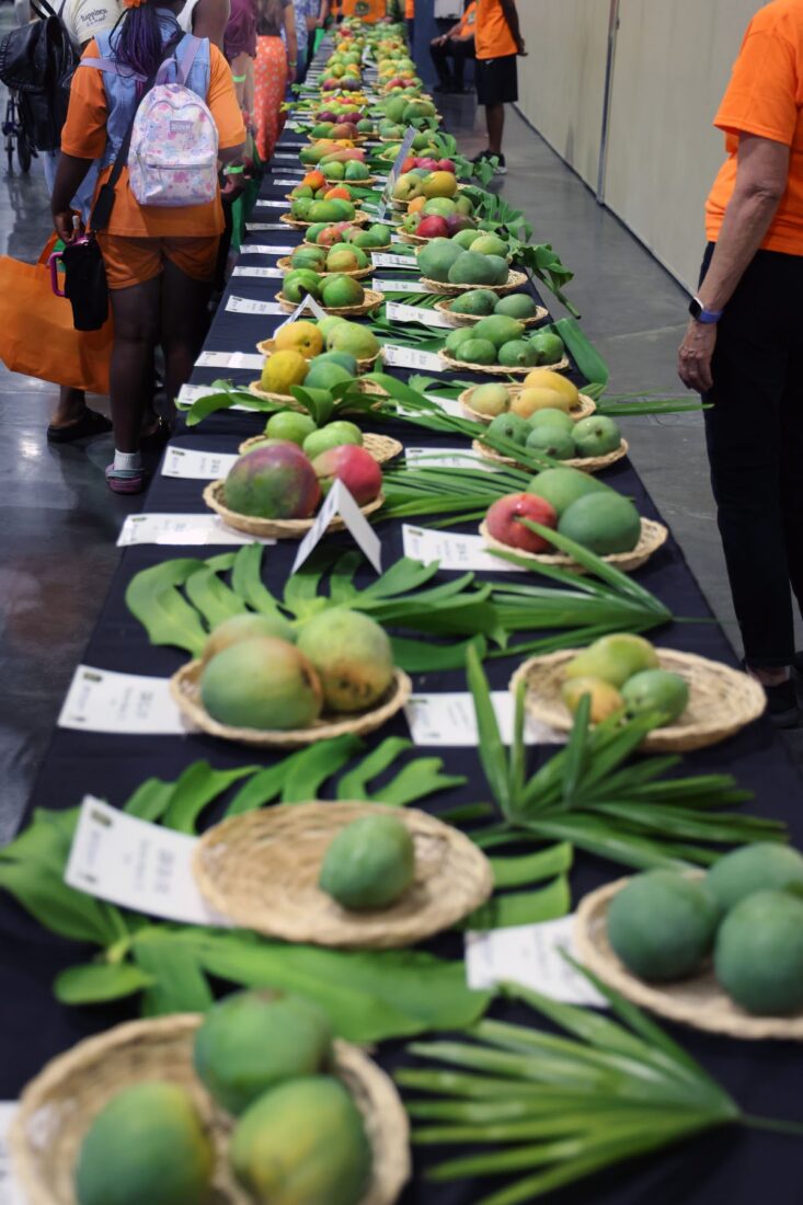 Varieties of mango