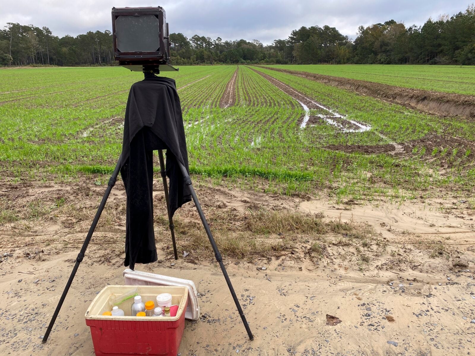 A camera in a field