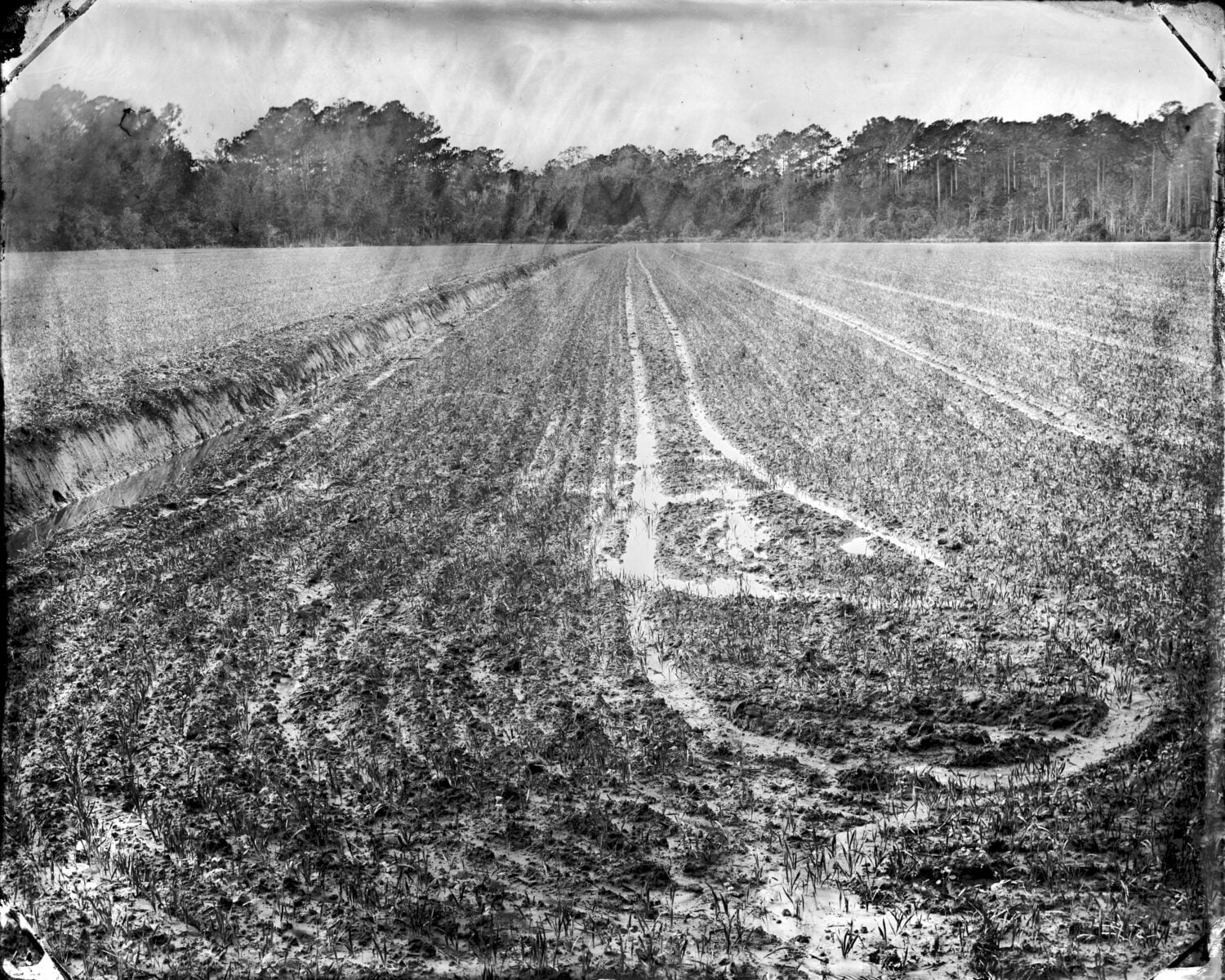 A field