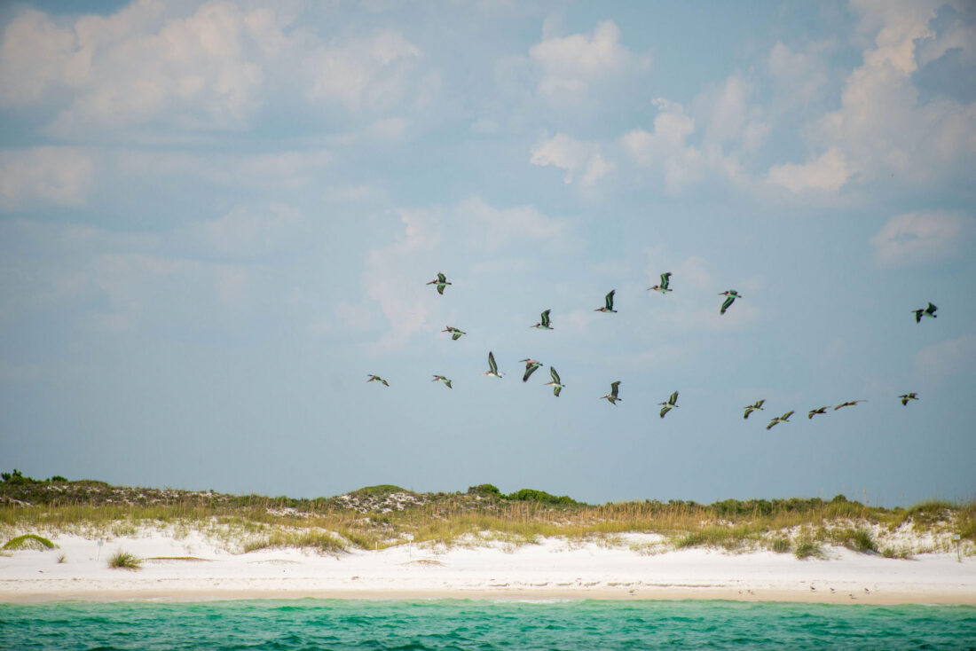 A beach