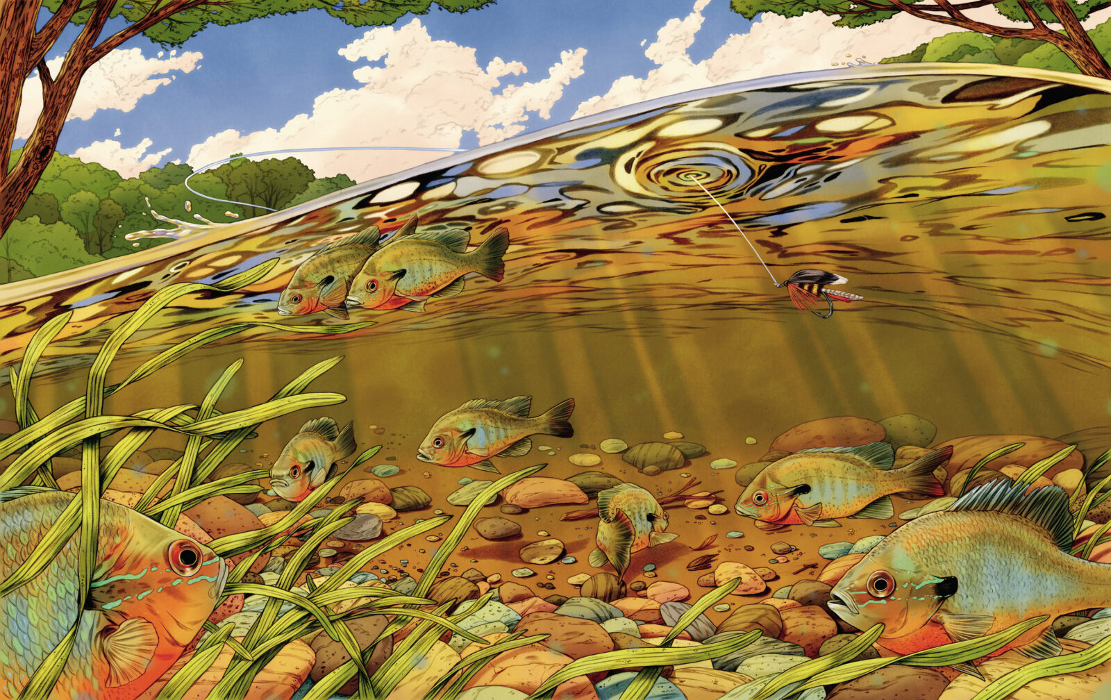 An illustration of fish under water