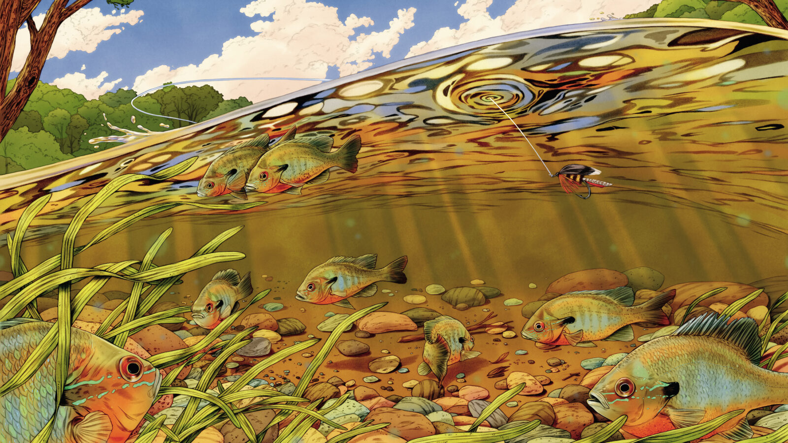 An illustration of fish under water